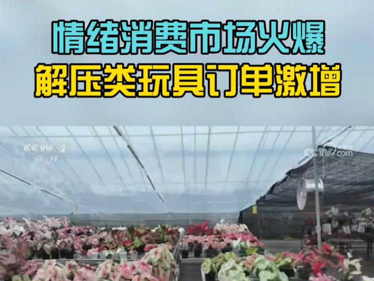 情绪消费市场火爆 解压类玩具订单激增